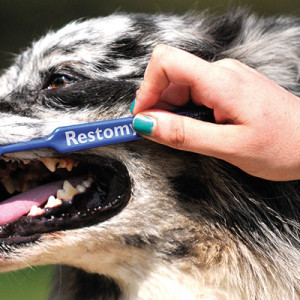 Nuove regole di prevenzione orale nei pet