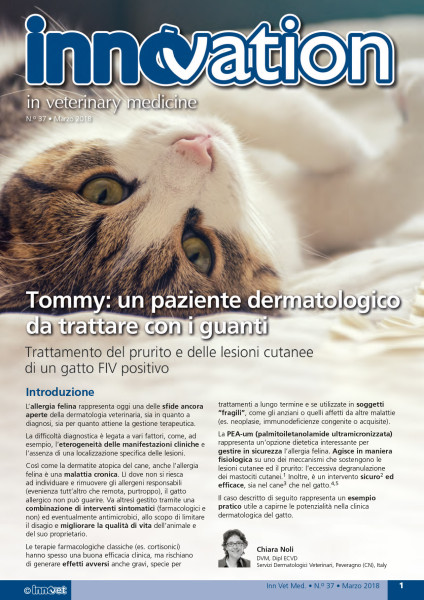 Tommy: un paziente dermatologico da trattare con i guanti. Trattamento del prurito e delle lesioni cutanee di un gatto FIV positivo