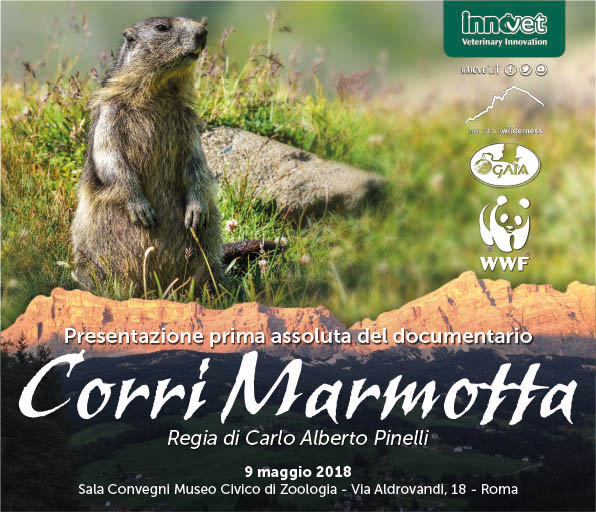 Presentazione prima assoluta del documentario Corri Marmotta