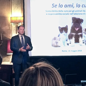 Cani e gatti: se li ami, li curi