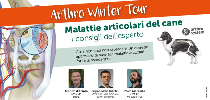 Arthro Winter Tour: 12 serate sulle malattie articolari del cane