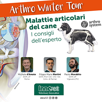 Malattie articolari del cane