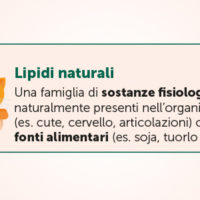 Aliamidi, cosa sono?