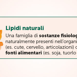 Aliamidi, cosa sono?