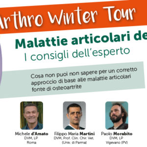 Un Tour sulle malattie articolari del cane