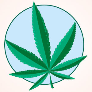 Luci e ombre della cannabis veterinaria