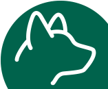 cane