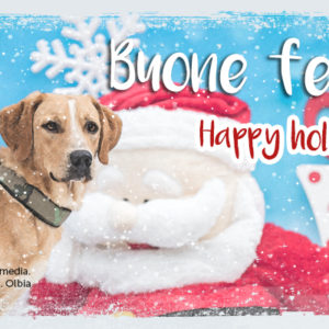 Natale tutto l’anno