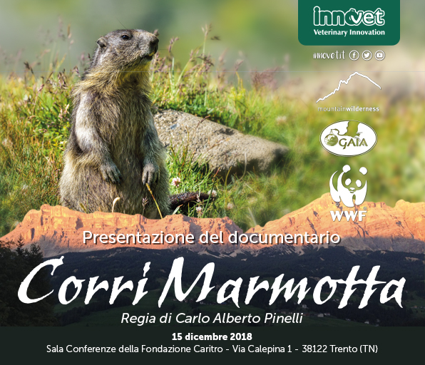 Presentazione del documentario Corri Marmotta