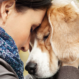 Il dolore del tuo cane ti cambia la vita