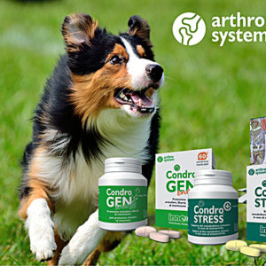 Arthro system 2019: salute articolare a 360 gradi