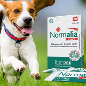 Normalia® Extra: è arrivato il normalizzatore intestinale extra-ordinario