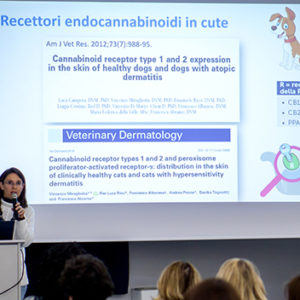 PEA-um in Dermatologia: esperienze umane e veterinarie a confronto