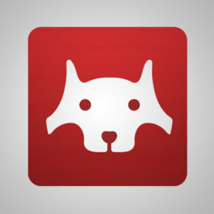 L’Ortopedia Veterinaria in un’App