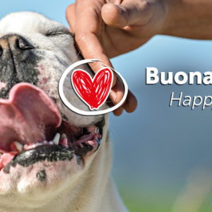 Che sia una Buona Pasqua anche per loro!