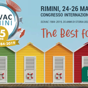 SPECIALE SCIVAC RIMINI 2019