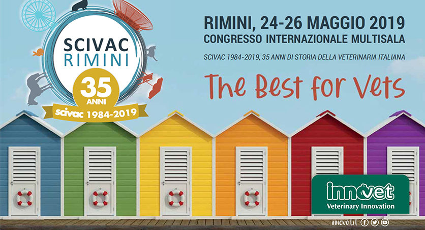 SPECIALE SCIVAC RIMINI 2019