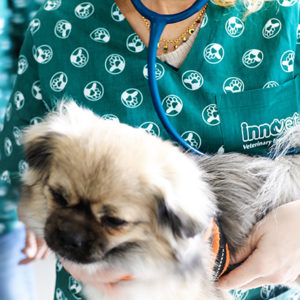 Il valore sociale dei medici veterinari