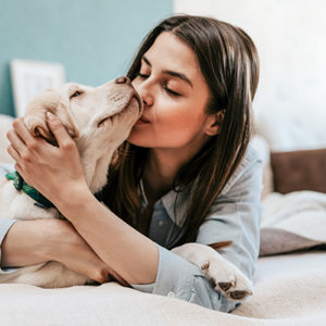 Cosa ci spinge ad avere un cane
