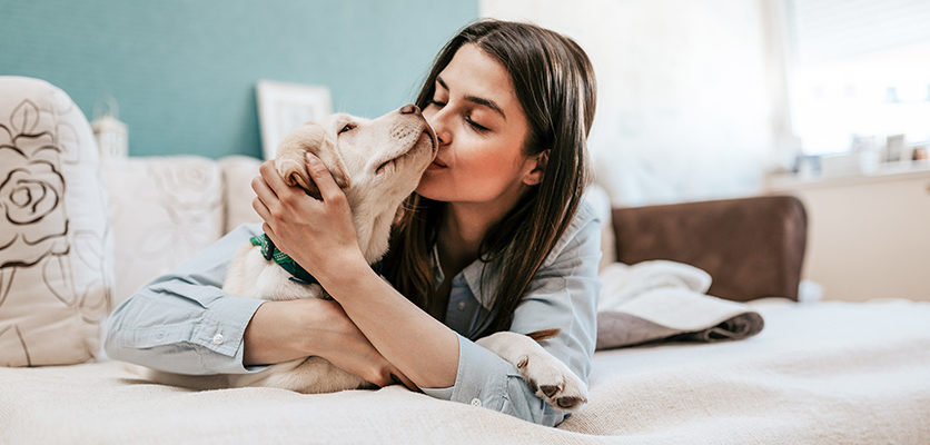 Cosa ci spinge ad avere un cane