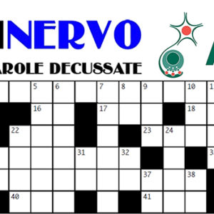 A Rimini giochiamo con il … CruciNervo