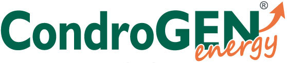 Innovet Condrogen Energy