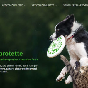 Un nuovo sito per la salute articolare del cane e del gatto