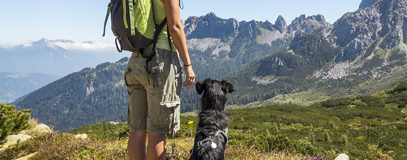 Montagna, vacanze sicure con Fido