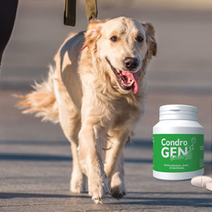 Condrogen® alla Milano Pet Week