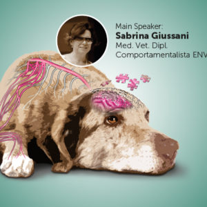 Inflammaging: dolore e psiche nel cane anziano