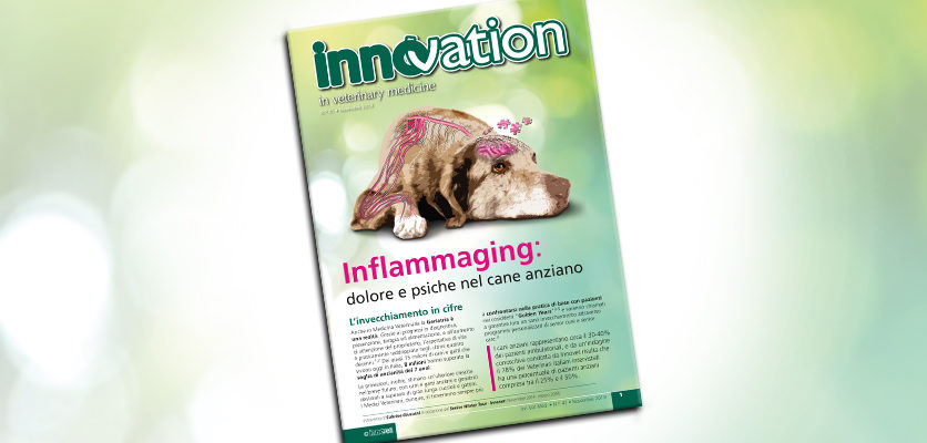 È online il nuovo numero di InnVetMed speciale Inflammaging