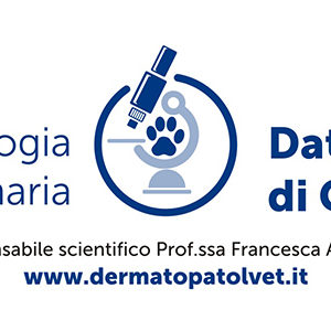 Un portale online per la diagnosi delle dermatopatie del cane e del gatto
