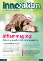 Inflammaging: dolore e psiche nel cane anziano