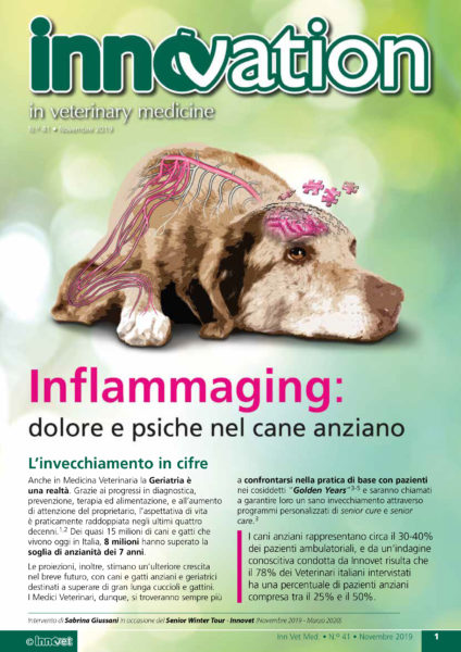 Inflammaging: dolore e psiche nel cane anziano