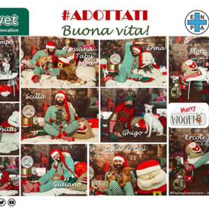 Calendario dell’Avvento 2019: 3000 coperte e 14 adozioni grazie a Innovet