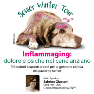 Senior Winter Tour, nuove tappe 2020