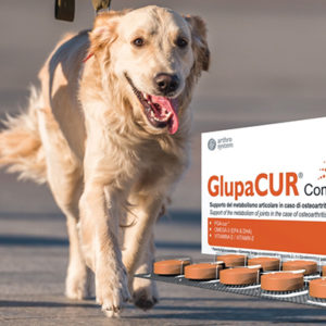 Glupacur®, finalmente anche in compresse!