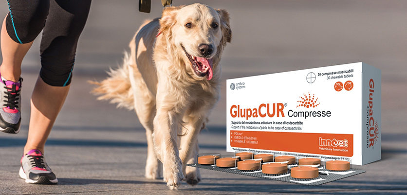 Glupacur®, finalmente anche in compresse!