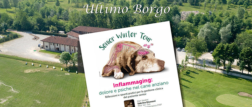 Senior Winter Tour a Settimo Torinese