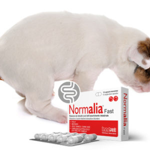 NOVITÀ: Normalia® diventa Fast contro i DAAI
