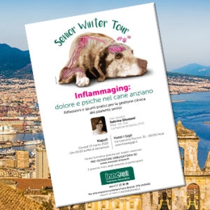Senior Winter Tour: da non perdere la tappa di Napoli