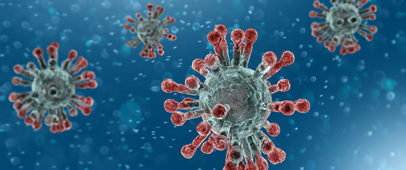 Coronavirus, i perché dell’uso della PEA-um