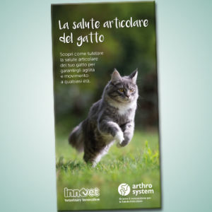 Una nuova guida per la salute articolare del gatto