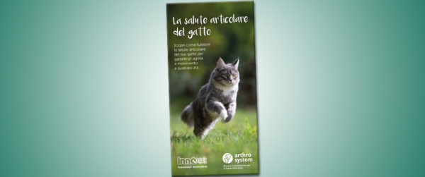 Una nuova guida per la salute articolare del gatto