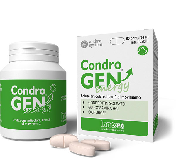Protezione articolazioni del cane - Innovet Condrogen Energy