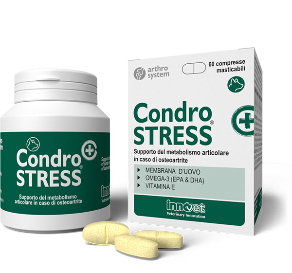 Protezione articolazioni del cane - Innovet Condrostress +