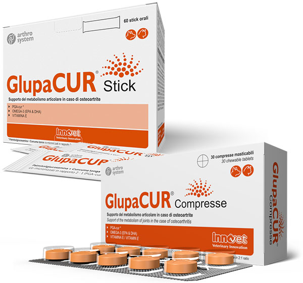 Protezione articolazioni del cane - Innovet Glupacur