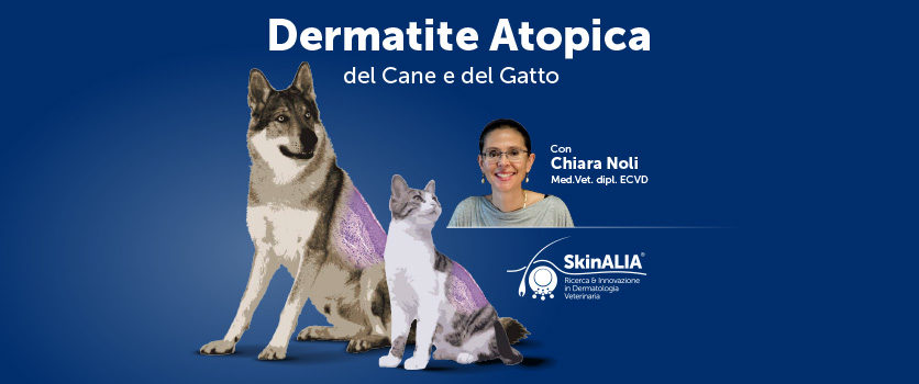 Dermatite Atopica: un ciclo di webinar con Chiara Noli