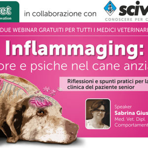 Webinar Innovet: Inflammaging e dolore cronico nel cane anziano