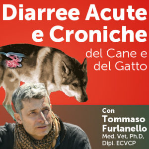 Diarree acute e croniche del cane e del gatto, con Tommaso Furlanello